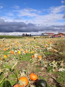 10262115_10152404397552197_2117350861291672298_n