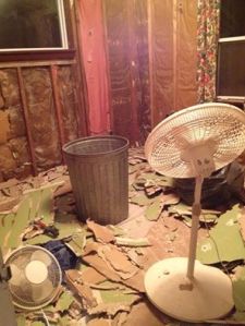 1604379_10151882753292197_787857892_n