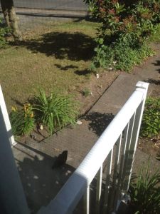 10387225_10152135883712197_246567808244985755_n